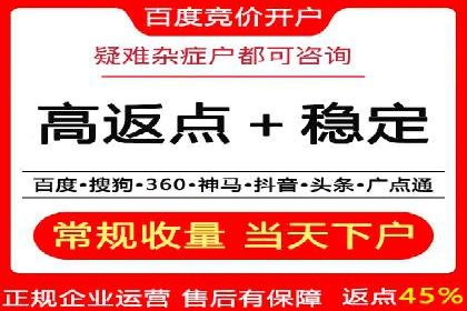 百度推广费用的投入与市场占有率提升的关联案例